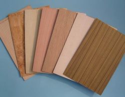 Fancy Veneer Plywood