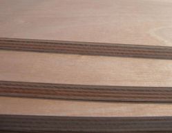  Plywood Sheet/Plywood Board/Commercial Plywood