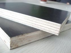 Black/Brown Film Faced Plywood