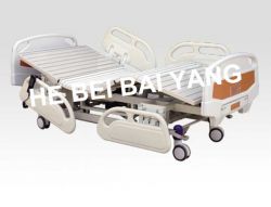 Five-Function Electric Bed A-9