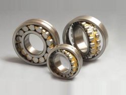 Aligning Roller Bearing