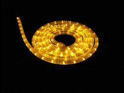 LED Strip Light/LED Flexible Strip