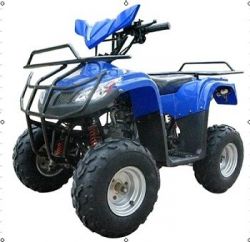 Electric ATV