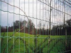 Euro Welded Fence