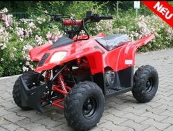 Electric ATV