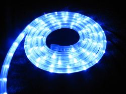 LED Strip Light/LED Flexible Strip