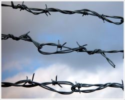 Selling Barbed Wire