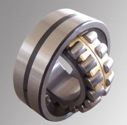 Agrriculture Used Bearing (gay25nppb)