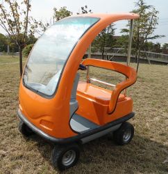 2-seat mini electric golf cart