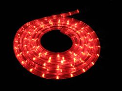 LED Strip Light/LED Flexible Strip