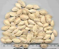 Shine Pumpkin Seeds, Yellow Pumpkin Seeds,