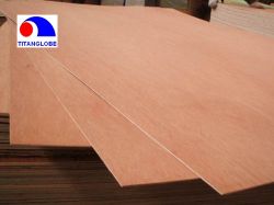 Commercial Plywood