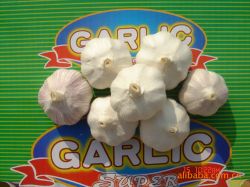 Laiwu Garlic