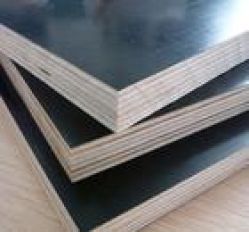 sell black film faced plywood