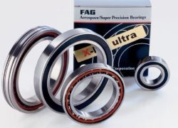 Fag Bearing