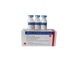 Ampicillin Sodium For Injection 1.jpg