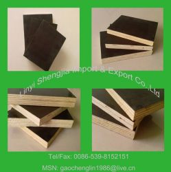 waterproof shuttering plywood