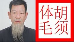 Qingdao Film And Television Beard Products Co.ltd