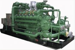 Bio Gas Plant/natural gas generator/gas500kw1000kw