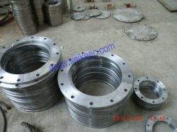 Alloy steel,Stainless steel Forged flanges