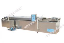 Automatic Frying Machine