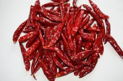 dry red chilli