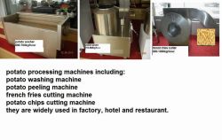 food vegetable processing machine