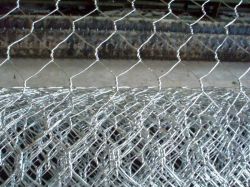 Chicken Wire Netting,hexagonal Wire Mesh