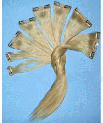 Clip In Human Hair Weft