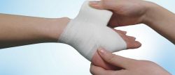 PBT Gauze Flexible Cohesiva Bandage