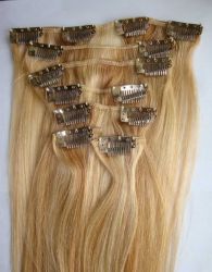 Clip In Human Hair Extensions