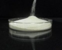 Chondroitin Sulfate Shark 90%