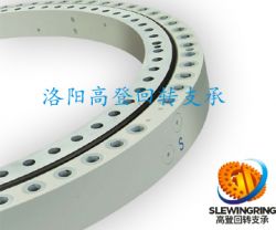  Crawler Crane Slewing bearings 