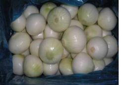 sell peeled onion