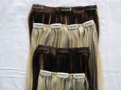 clip in hair extension