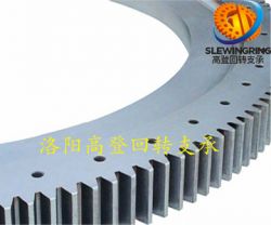 tower crane Slew bearing 