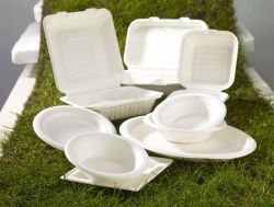 Plant Fiber Tableware-eco-friendly,various Size