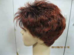 2012 New Hot Sell Short Wigs Offer Oem Service 