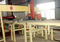 automatic edge trim saw