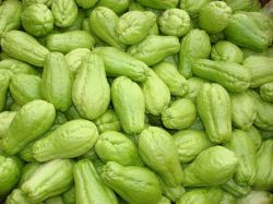 sell fresh chayote