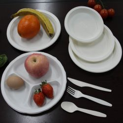 Disposable Biodegradable Bowl,Tray,Box,Plate,Cup