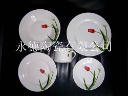 20pcs porcelain dinnerware