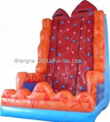 inflatable obstcle course