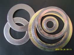 Sprial Wound Gasket