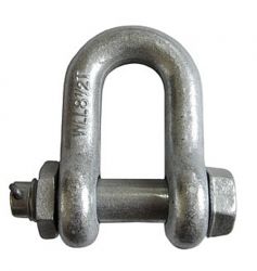 Bolt Type Anchor & Chain Shackles 