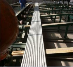 Seamless Stainless Steel Tube (astm A213 Tp310s)