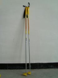 ski pole