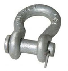 Bow Shackles With Alloy Round Pin 