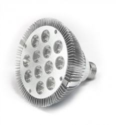 24W LED PAR38 Lights