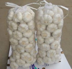 Sell Chinese Garlic - (4.5cm to 6.5cm)